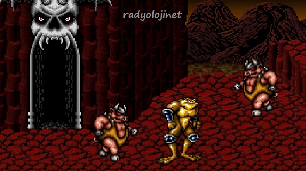 Play Battletoads In Battlemaniacs