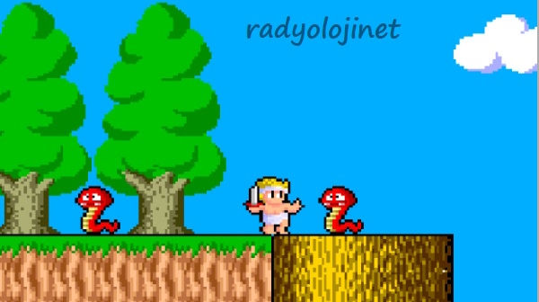 Play Wonder Boy In Monster Land