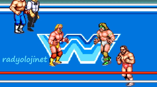 Play WWF Superstars