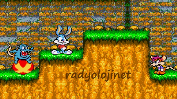 Play Tiny Toon Adventures