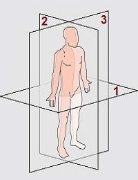 Anatomik Planlar ( Düzlemler )