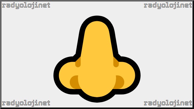 Burun Emoji