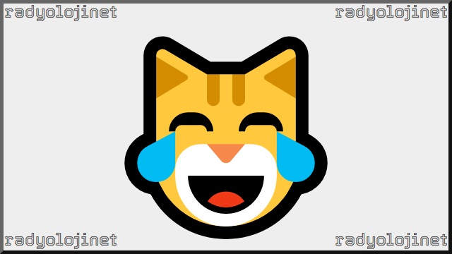 Gülmekten Gözlerinden Yaş Gelen Kedi Emoji