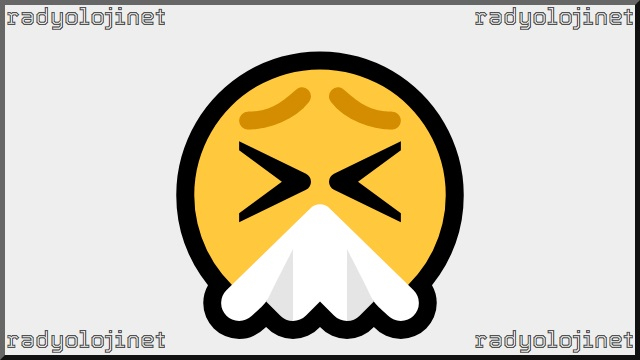 Hapşıran Yüz Emoji