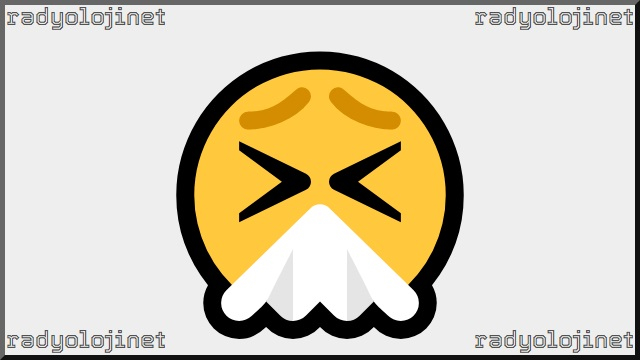 Hapşıran Yüz Emoji