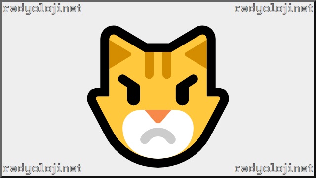 Kızgın Kedi Emoji