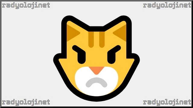 Kızgın Kedi Emoji