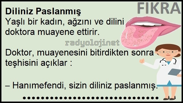Diliniz Paslanmış Fıkrası | Gelinimle Küstüm Fıkrası