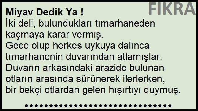 Miyav Dedik Ya ! - Kedi Taklidi Yapan Deli