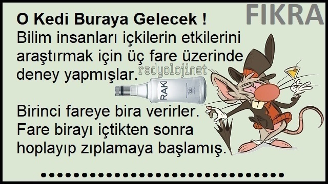 O Kedi Buraya Gelecek ( Fareye Rakı İçirmişler ) Fıkrası
