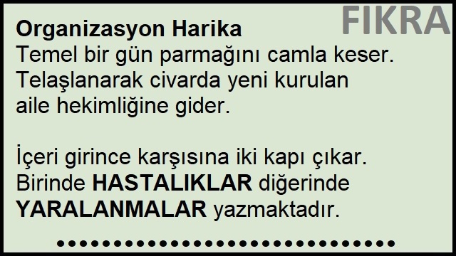 Organizasyon Harika