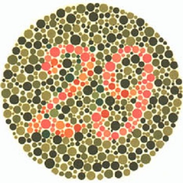 Renk Körlüğü Testi - Resim 04