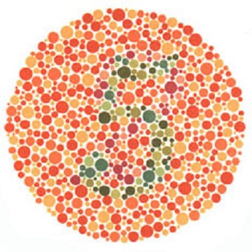 Renk Körlüğü Testi - Resim 06