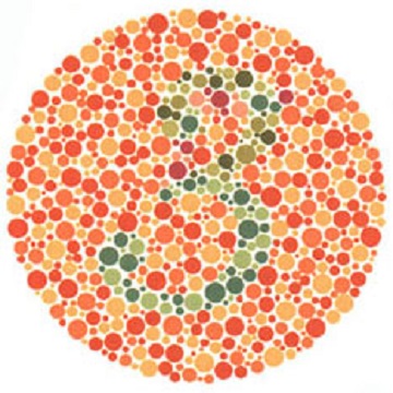 Renk Körlüğü Testi - Resim 07