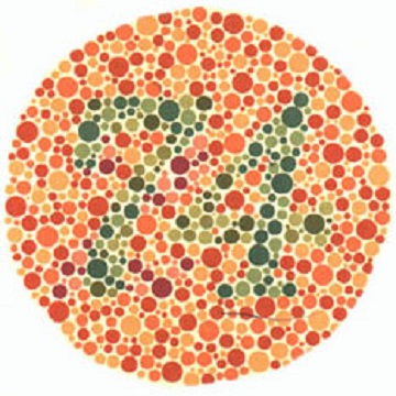 Renk Körlüğü Testi - Resim 09