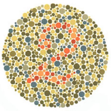 Renk Körlüğü Testi - Resim 10