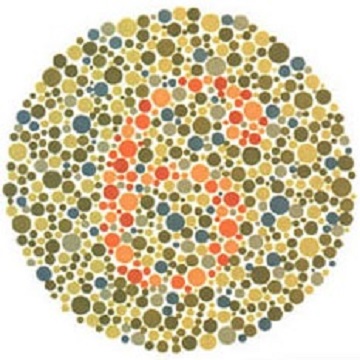 Renk Körlüğü Testi - Resim 11