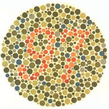 Renk Körlüğü Testi - Resim 12