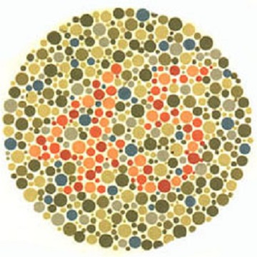 Renk Körlüğü Testi - Resim 13
