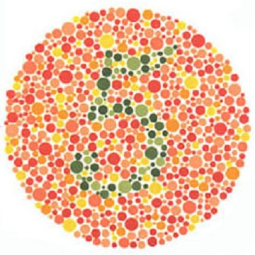 Renk Körlüğü Testi - Resim 14