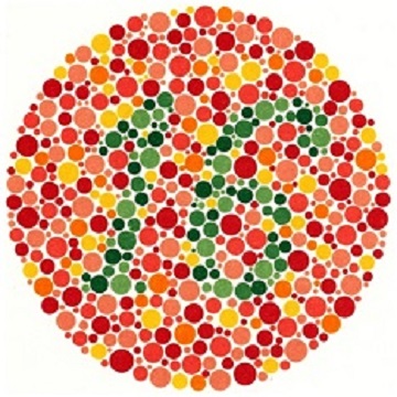 Renk Körlüğü Testi - Resim 16