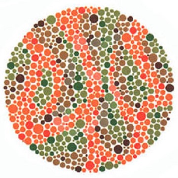 Renk Körlüğü Testi - Resim 18