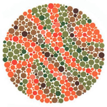 Renk Körlüğü Testi - Resim 19