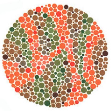 Renk Körlüğü Testi - Resim 20