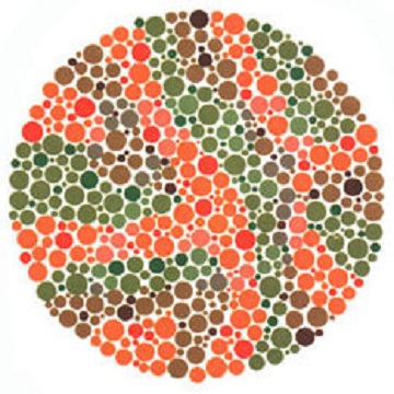 Renk Körlüğü Testi - Resim 21