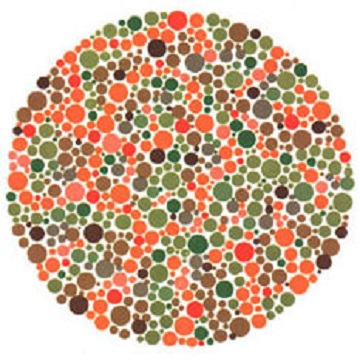 Renk Körlüğü Testi - Resim 28