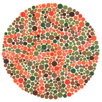 Renk Körlüğü Testi - Resim 29