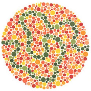 Renk Körlüğü Testi - Resim 30