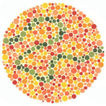 Renk Körlüğü Testi - Resim 31