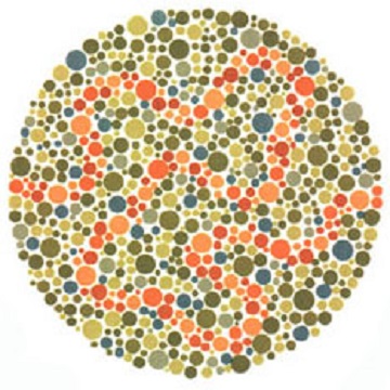 Renk Körlüğü Testi - Resim 32