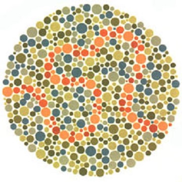 Renk Körlüğü Testi - Resim 33