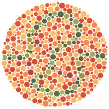 Renk Körlüğü Testi - Resim 34