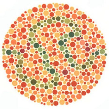 Renk Körlüğü Testi - Resim 35