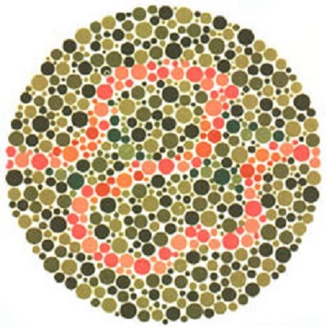 Renk Körlüğü Testi - Resim 36