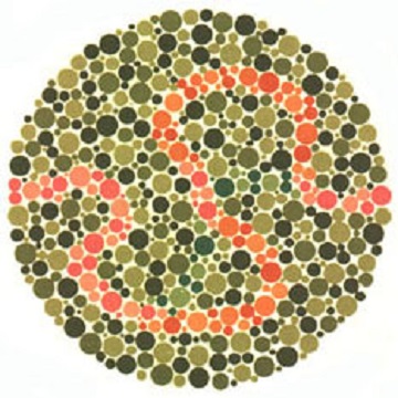 Renk Körlüğü Testi - Resim 37