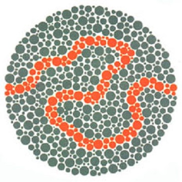 Renk Körlüğü Testi - Resim 38
