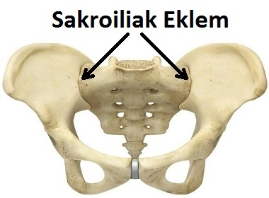 Sakroiliak Eklem