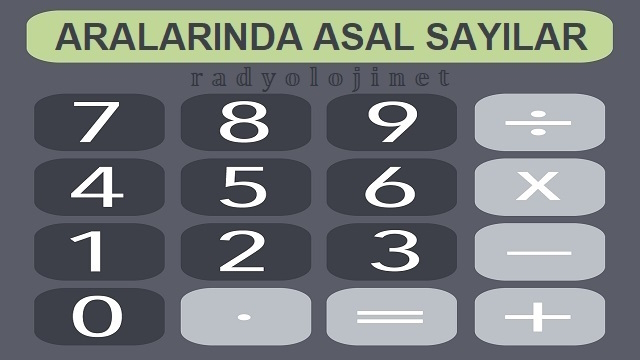 Aralarında Asal Sayı Hesaplama Aracı - Aralarında Asal Sayı Bulma Aracı