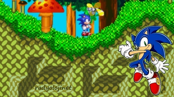 Sonic 🕹️ Oyunu Oyna