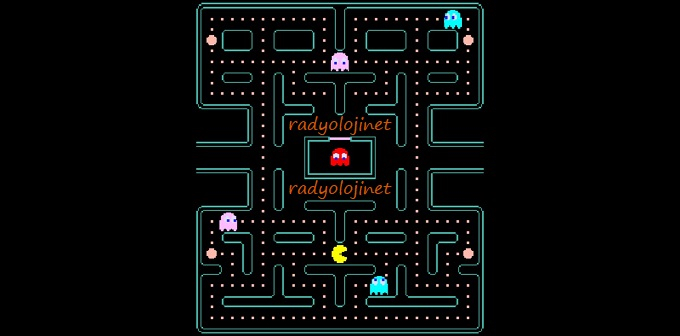 Pacman Plus Oyunu Oyna | Pac-Man Plus Oyunu Oyna