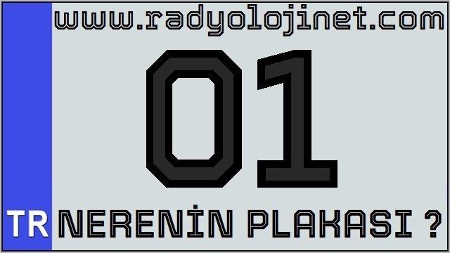 01 Nerenin Plakası ?