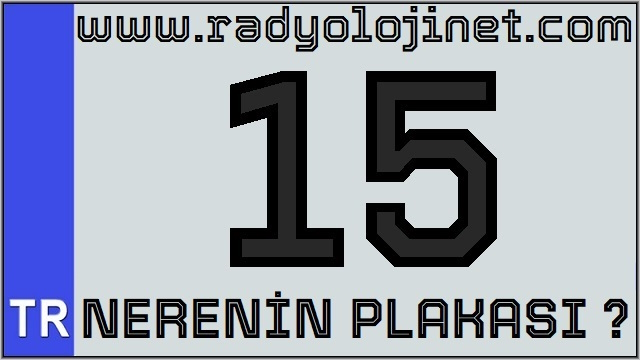 15 Nerenin Plakası ?