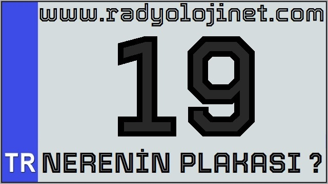 19 Nerenin Plakası ?