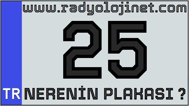 25 Nerenin Plakası ?