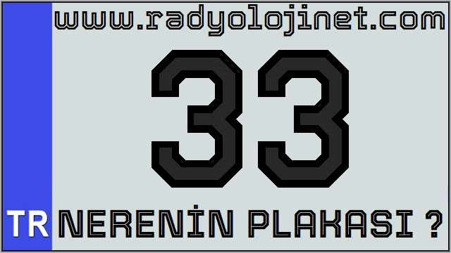 33 Nerenin Plakası ?