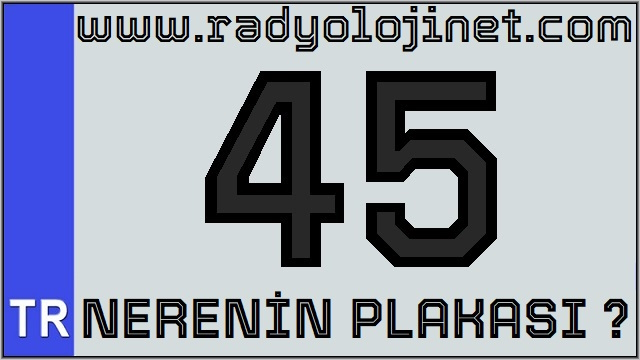 45 Nerenin Plakası ?